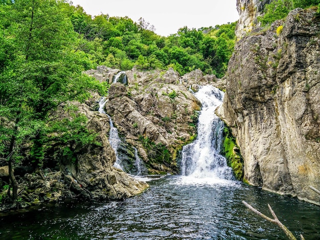Cachoeira e árvore