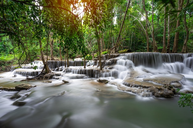 Cachoeira e fluxo azul na floresta