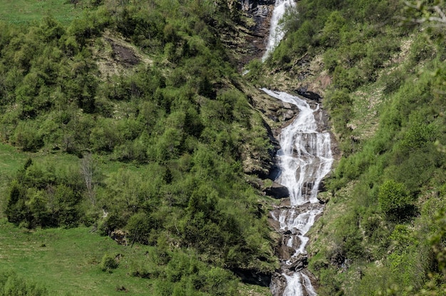 Cachoeira e natureza verde