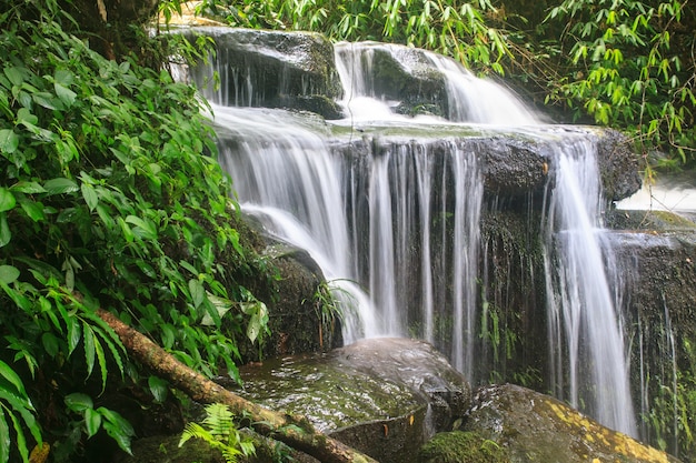 Cachoeira e rochas cobertas de musgo