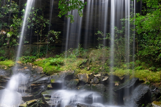 Cachoeira, em, floresta, em, phu kradueng, parque nacional, em, loei, província, ásia sudeste, ásia, tailandia