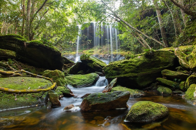 Foto cachoeira, em, floresta, em, phu kradueng, parque nacional, em, loei, província, sudeste, ásia, tailandia