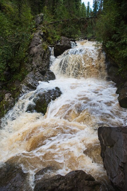 Cachoeira em floresta verde longa exposição