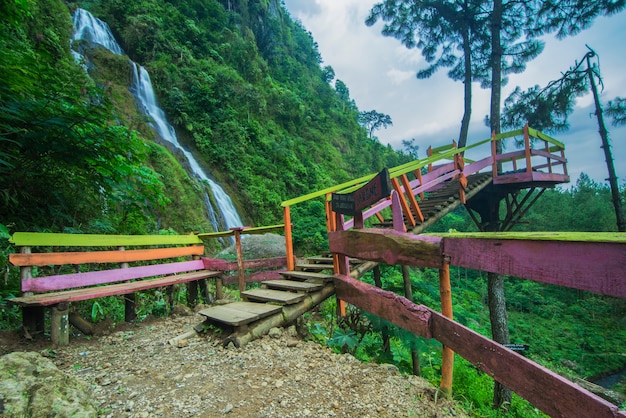 cachoeira em fores