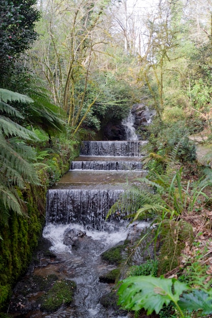 Cachoeira em forma de escada cercada por todos os tipos de vegetação
