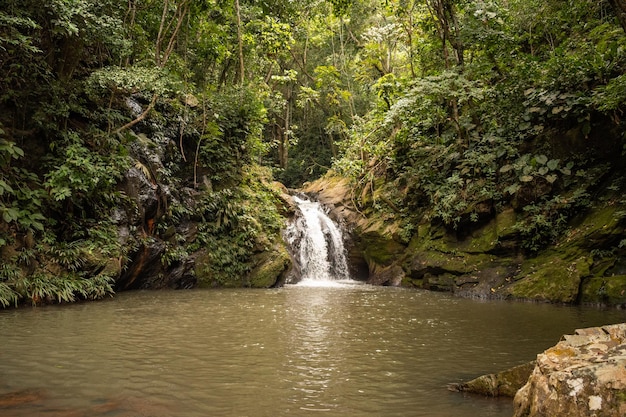 cachoeira em um paraíso natural