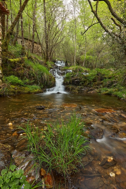 Cachoeira em uma bela floresta na região da Galiza, Espanha.