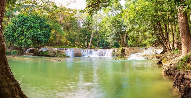 Cachoeira em uma floresta na montanha na floresta tropical