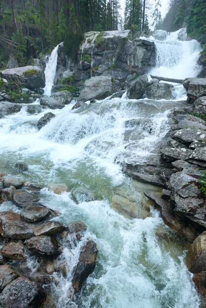 Foto cachoeira em vista de verão great cold valley. high tatras, eslováquia.