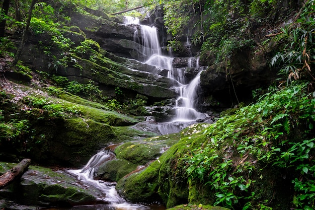 Cachoeira entre natureza verde musgo e rock