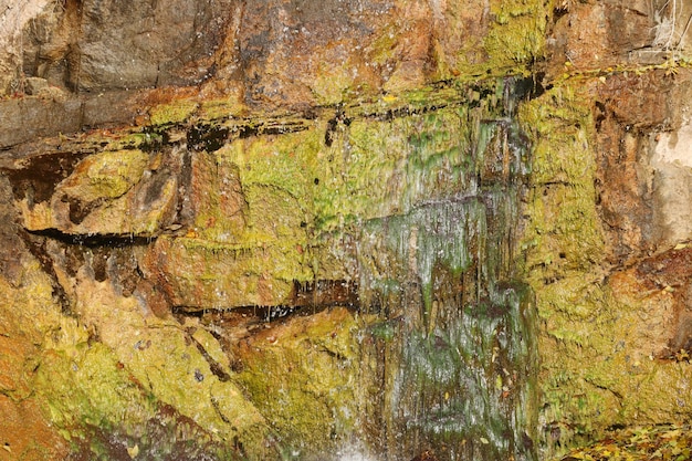 Cachoeira entre pedras e árvores Closeup de pedregulhos na água Enormes pedras em musgo verde Bela paisagem de cachoeira rápida com pequenos redemoinhos