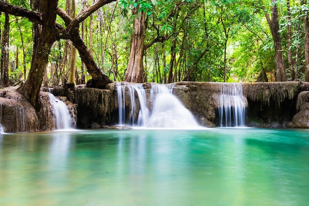 Cachoeira floresta profunda suave cênica natural