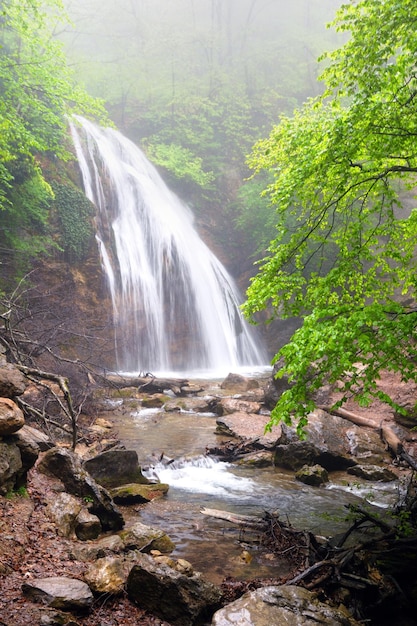 Cachoeira flui em floresta de montanha