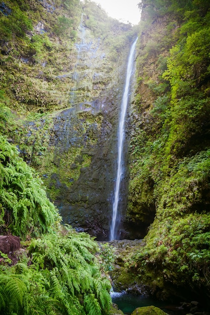 Cachoeira grande no final da Levada