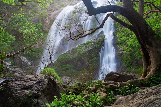 Cachoeira Khlong Lan é uma bela cachoeira na floresta tropical da Tailândia