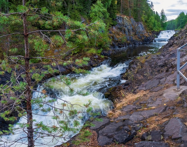 Cachoeira Kivach na floresta da Carélia. Paisagem russa no verão