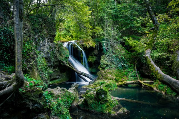 Cachoeira la vaioaga na floresta, romênia.