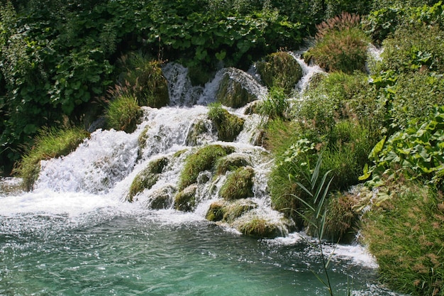 Cachoeira, Lagos Plitvice, Croácia, Europa. Lagoas e quedas na vegetação verde