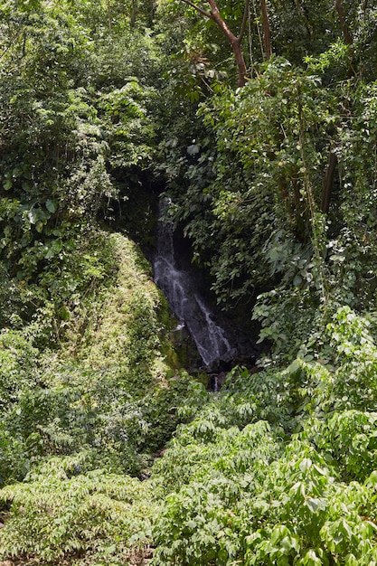 Foto cachoeira na costa rica