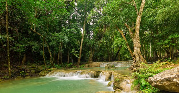 cachoeira na floresta; bela cachoeira na floresta verde na selva