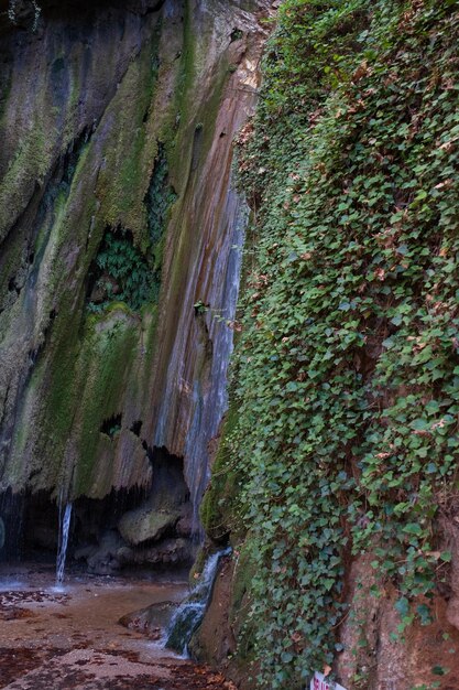 Foto cachoeira na floresta de outono cachoeira da floresta de outono cachoeira de outono