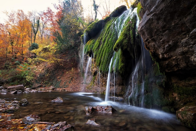 cachoeira na floresta de outono