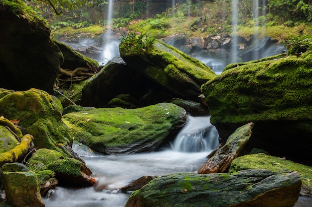 Cachoeira na floresta no parque nacional do phukradung na província de loei Tailândia