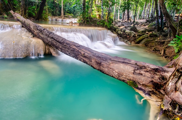 Foto cachoeira na floresta profunda, tailândia