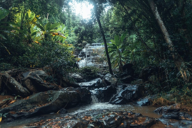 Cachoeira na floresta tropical na estação chuvosa