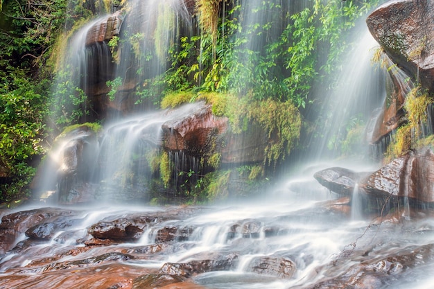 Cachoeira na floresta tropical profunda durante a estação chuvosa em Bueng Kan Tailândia