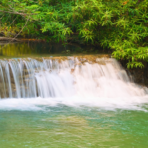 Cachoeira na floresta tropical