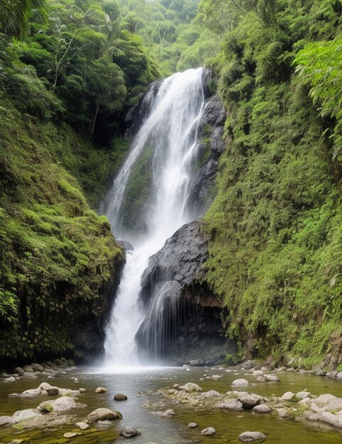 Cachoeira na floresta tropical