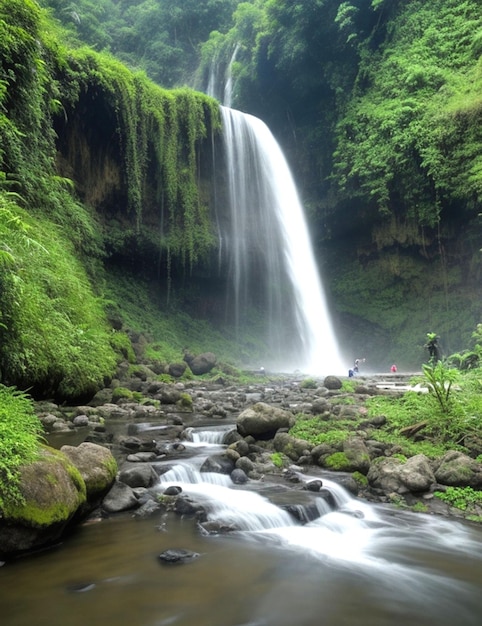 Cachoeira na floresta tropical