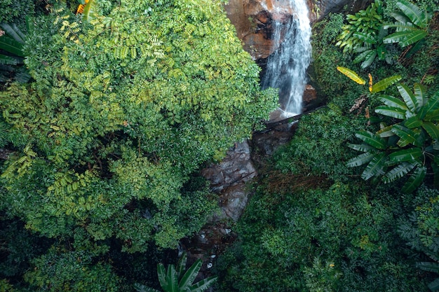 Cachoeira na floresta tropicalCachoeira na selva