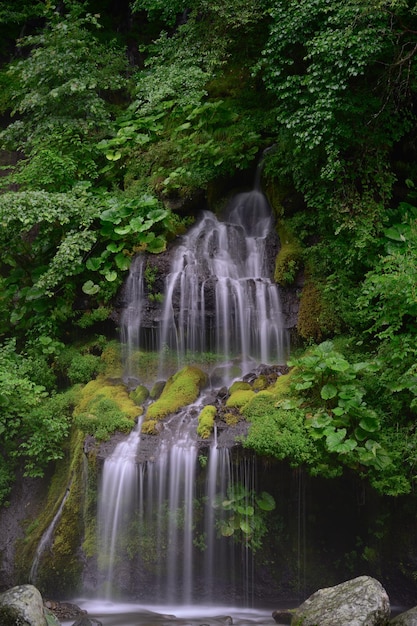 Foto cachoeira na floresta