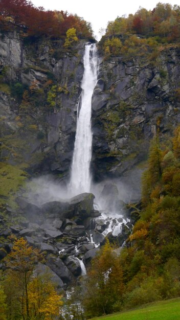 Cachoeira na floresta