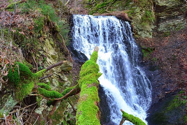 Foto cachoeira na floresta