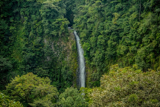 Cachoeira na floresta