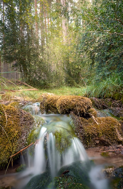 Cachoeira na floresta