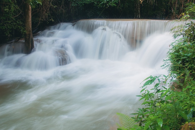 Cachoeira na floresta.