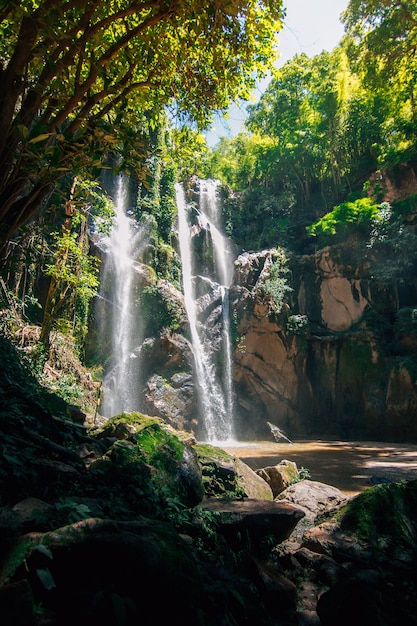 Cachoeira na floresta