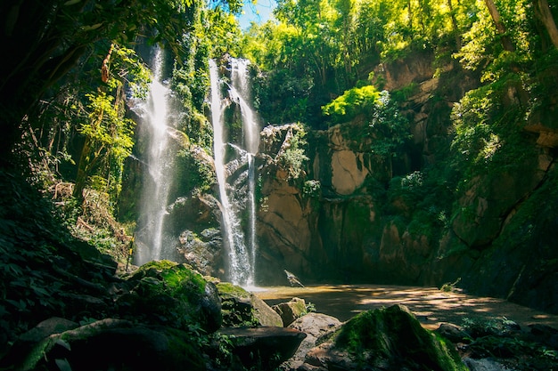 Foto cachoeira na floresta