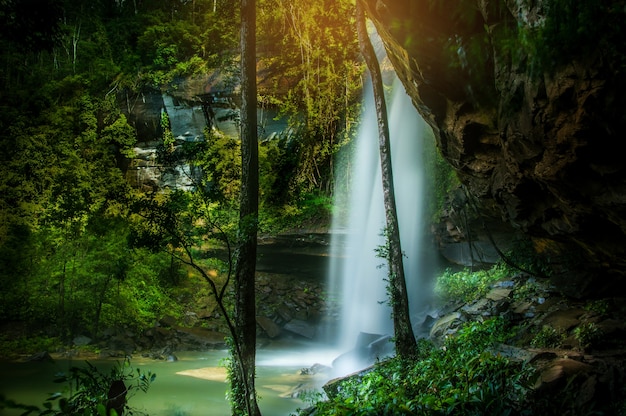 Cachoeira na floresta