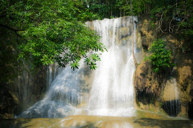 Cachoeira na floresta