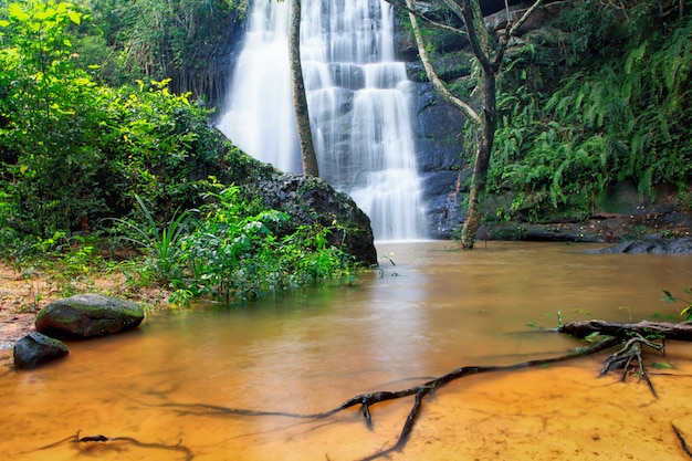 Cachoeira na natureza marco público selecione foco