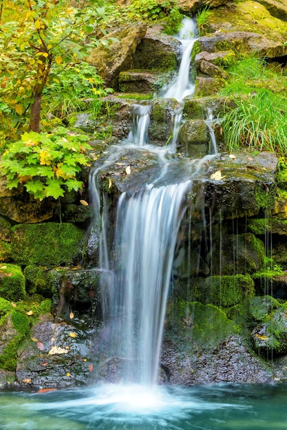 Cachoeira na paisagem de floresta de verão vertical