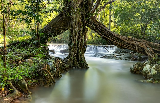 Foto cachoeira na província de saraburi, tailândia