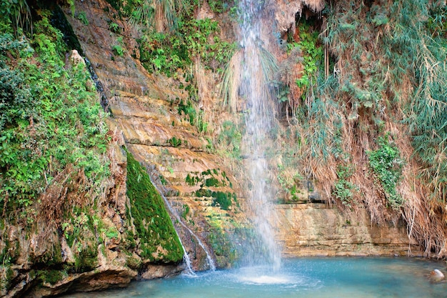 Cachoeira na reserva natural de Ein Gedi, Israel