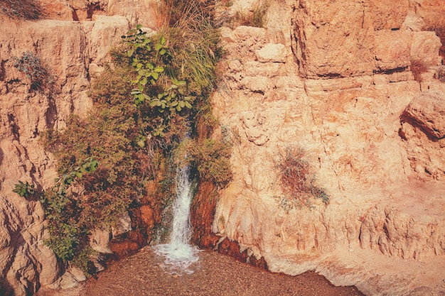 Cachoeira na reserva natural ein gedi. israel. oásis no deserto