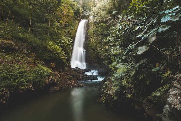 Cachoeira na selva. Paisagem verde. Bali.